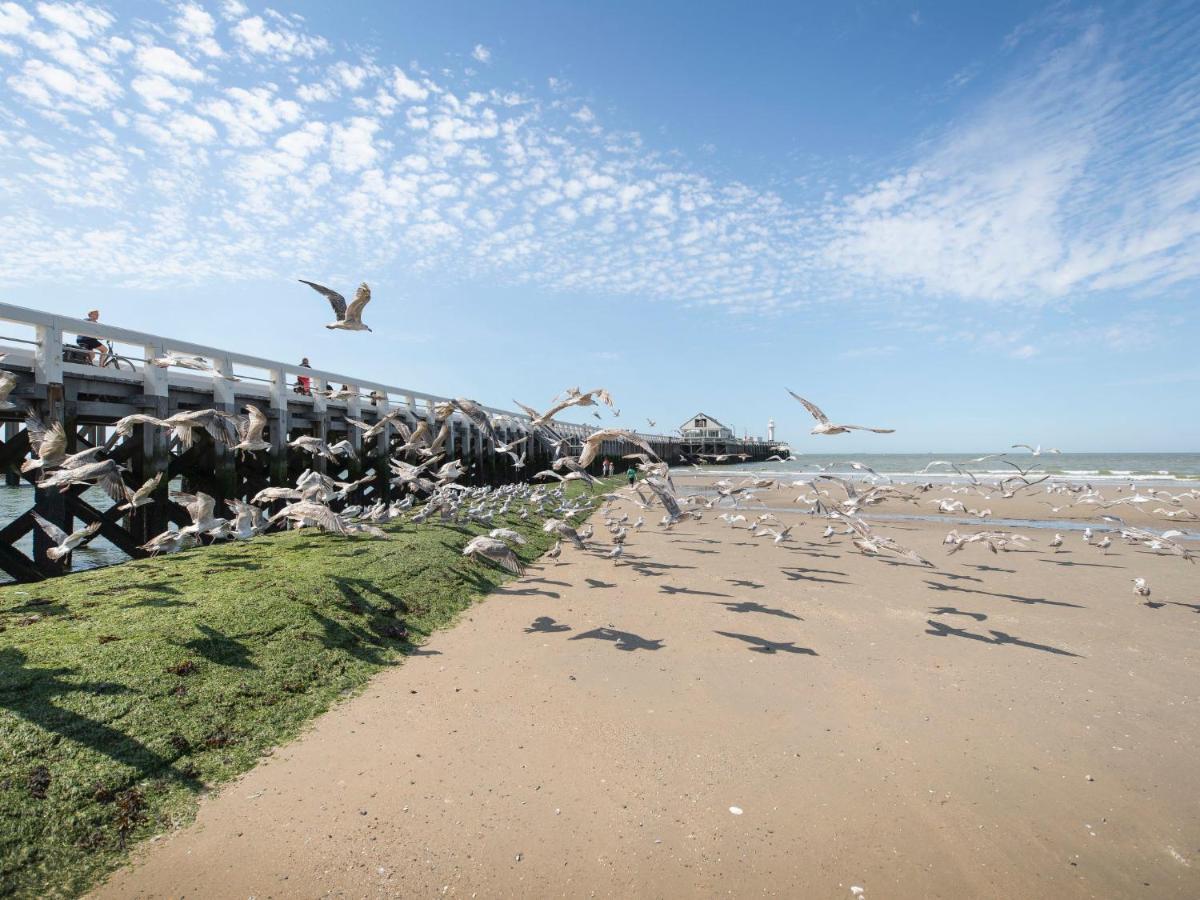 Apartment Ocean Dream By Interhome Blankenberge